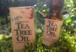 4 секрета успеха масла чайного дерева для отбеливания зубов и укрепления десен