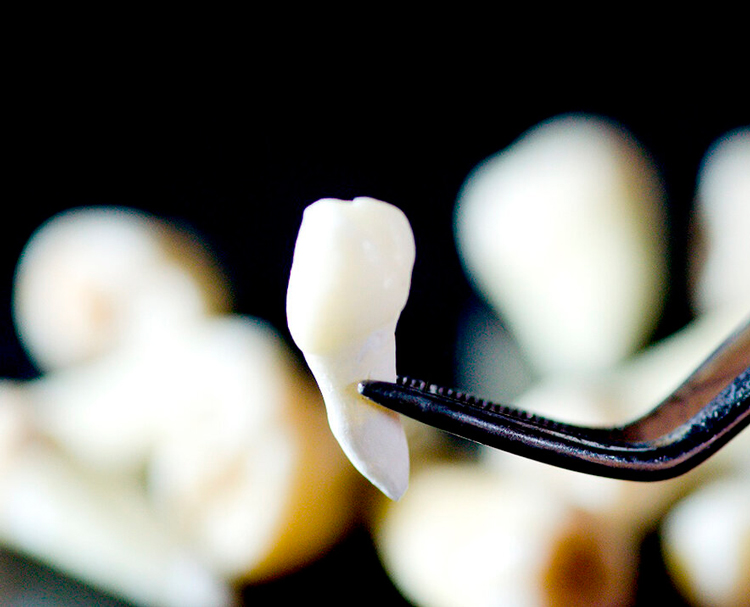 Выращивание зубов: научные способы и домашние методы
